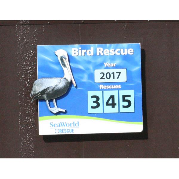 2017-Bird Rescue